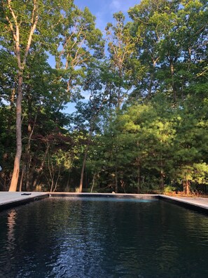 The pool from the other side with the beautiful trees in 4-5pm light!