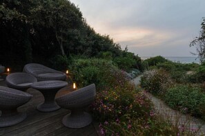 Garden [summer]