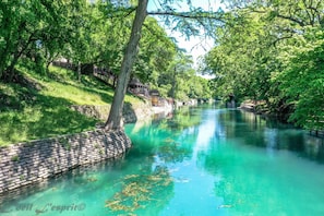 Come Float the Comal River!