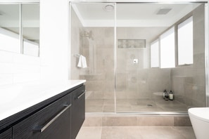 Main bathroom with step-up shower