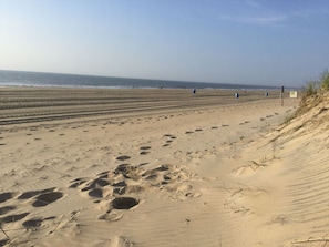  Just on the other side of the Dune line you will find a very wide open beach!