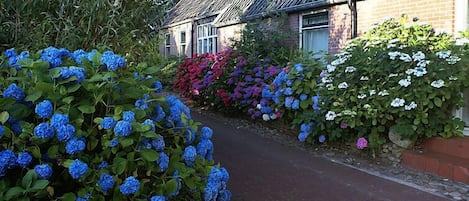 Jardines del alojamiento