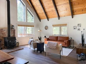Living room and wood stove fireplace
