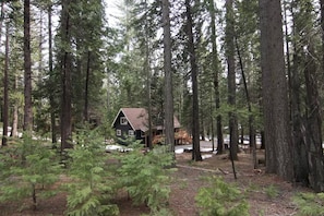 View of the back of the house, which is nestled in the forest.