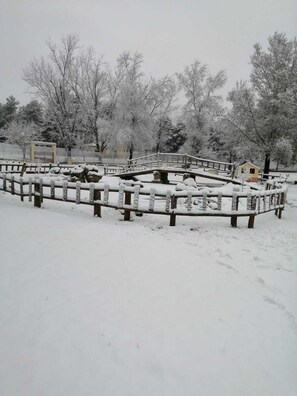Snow and ski sports