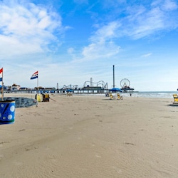 Build sandcastles, collect seashells, create memories