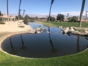 Pond running parallel to 5th fairway in front of our unit.