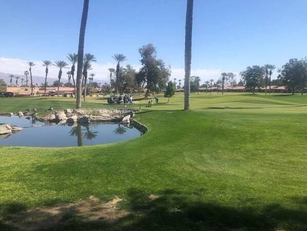 5th Green outside living room patio doors