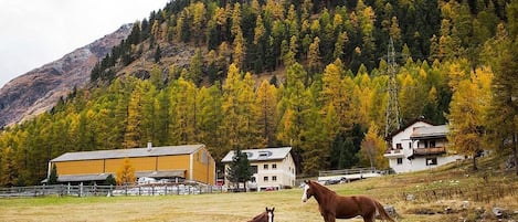 Parco della struttura