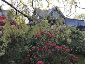 View from House Garden