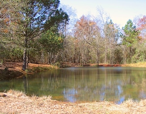 Terrain de l’hébergement 