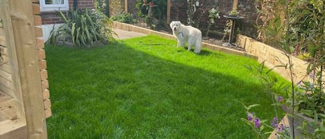 Jardines del alojamiento