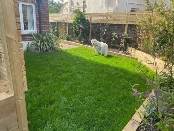 Dog not included!