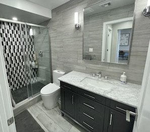 Beautifully remodeled downstairs full bath
