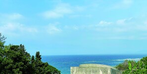 Vista dalla camera