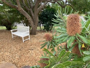 Admire the native garden under the shade of a beautiful Jacaranda Tree...