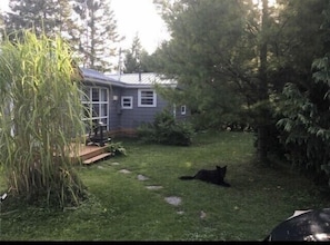 Backyard with mature trees 