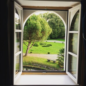 View of the garden from the room