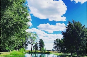 It's relaxing to sit by the pond! Fishing is allowed too!