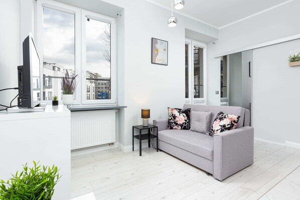 A comfortable sofa bed in the living area offering large sleeping space for guests.