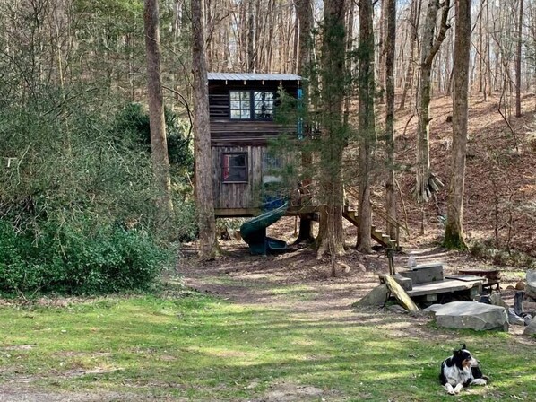 Treehouse Sanctuary (1)