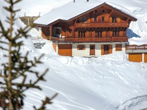 Snow, Building, Window, House, Slope, Wood, Cottage, Freezing, Tree, Larch