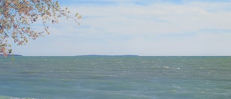 View from backyard, spring time, showing Lake Ontario's choppy personality.