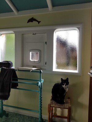 The shower room is in the carriage. Daisy the cat is just visiting!