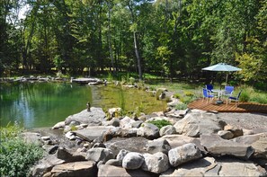 Some of the plants at the pond/pool that filter the water naturally.