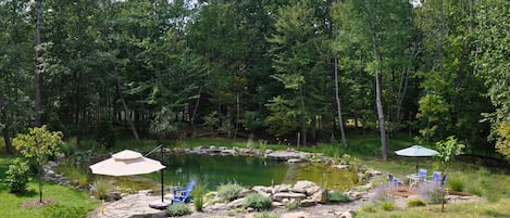 View of the pond/pool from the back deck