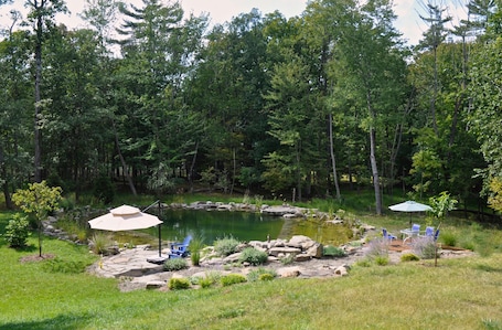 View of the pond/pool from the back deck