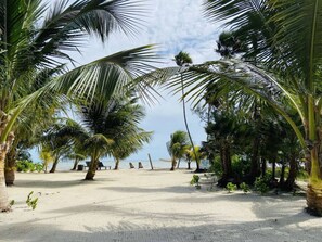 Beach view from the front of Casita