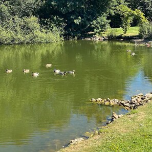 Lake