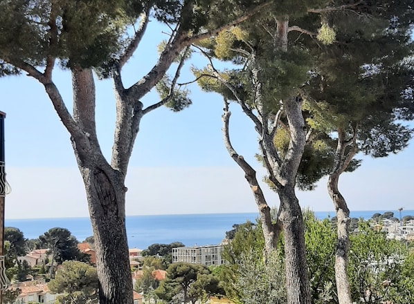 View from property