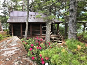 Rhododendrons in the Spring.