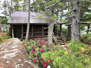 Rhododendrons in the Spring.