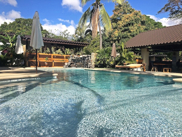 We always have a crystal clear water in our pool  