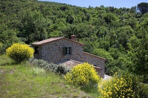 Plant, Sky, Flower, Natural Landscape, Land Lot, Tree, House, Grass, Cottage, Landscape