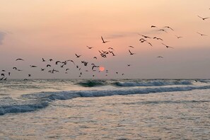 Sunset View | Beach Across the Street