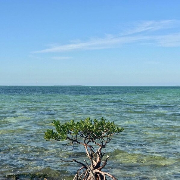 view off beach
