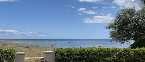 Vue mer depuis le jardin à marée basse