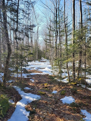 picture of the trail