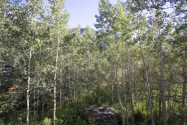 Boendeområde