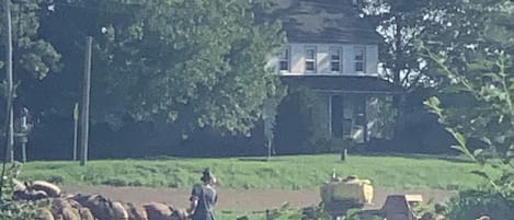 This picture is of our Amish Neighbors , this is one of the girls fertilizing.