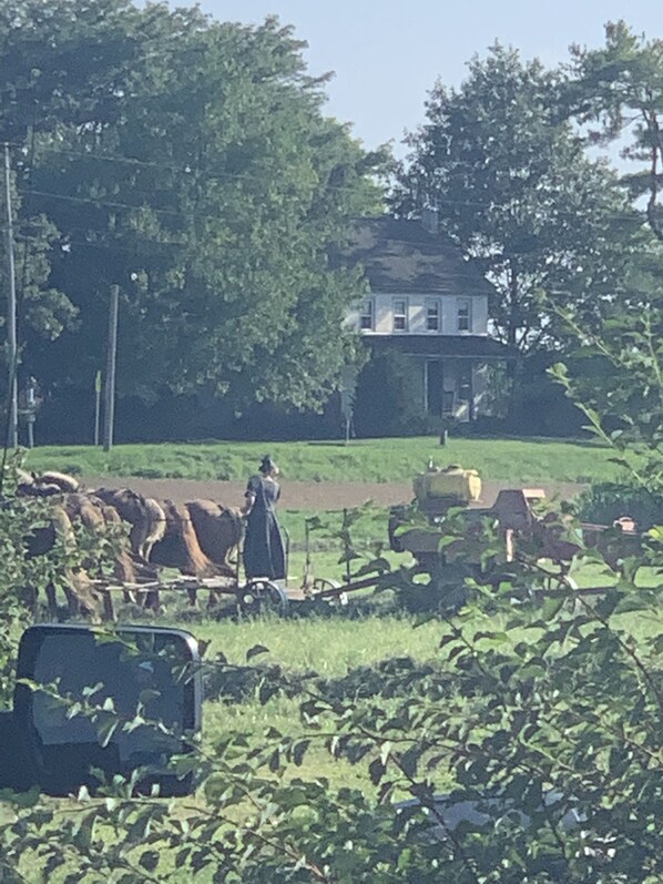 This picture is of our Amish Neighbors , this is one of the girls fertilizing.