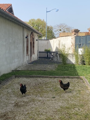 Enceinte de l’hébergement