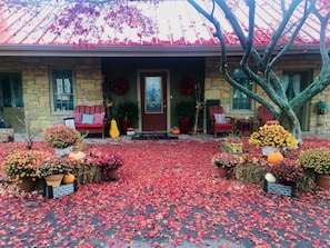 Fall here is breathtaking! The front Japanese Maple is beautiful! 