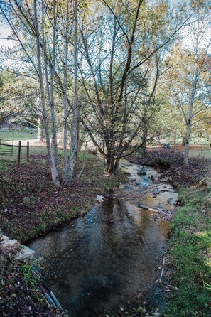 Philips Creek, year round creek perfect to play in!