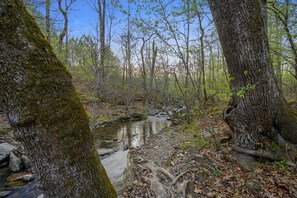 Beautiful flowing creek