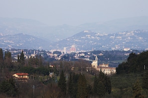 View from the entrance of the property